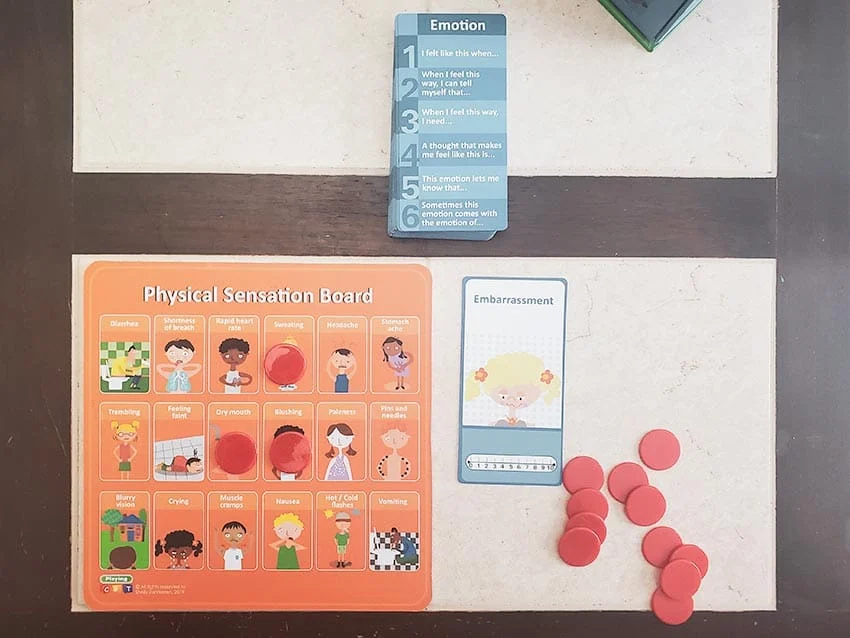 Physical Sensation and Emotion Pairing