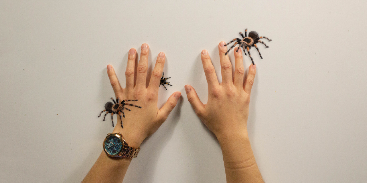 Spider Phobia